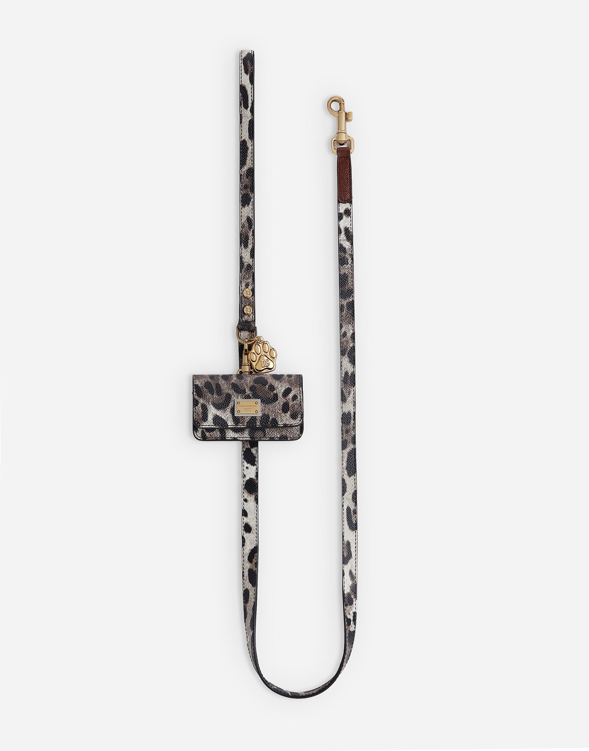 ${brand} Dog leash ${colorDescription} ${masterID}