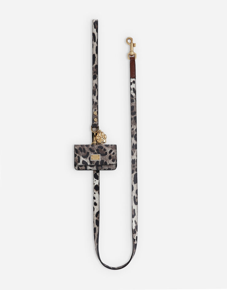 Dolce & Gabbana Dog leash Print BD0015A6456