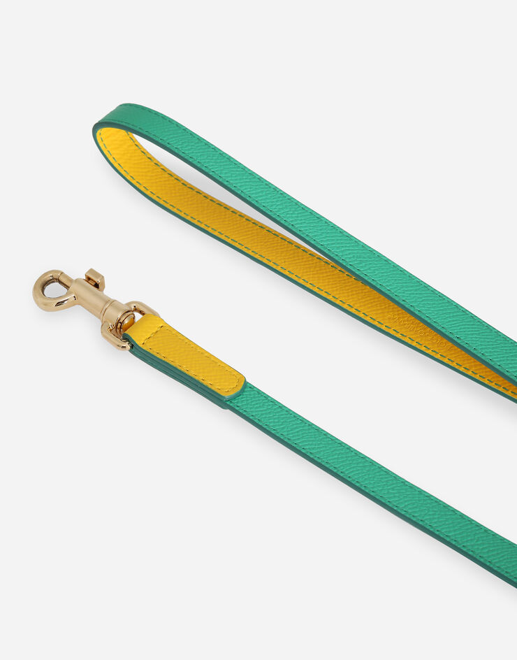 Dolce & Gabbana Dog leash Green BD0015A6453