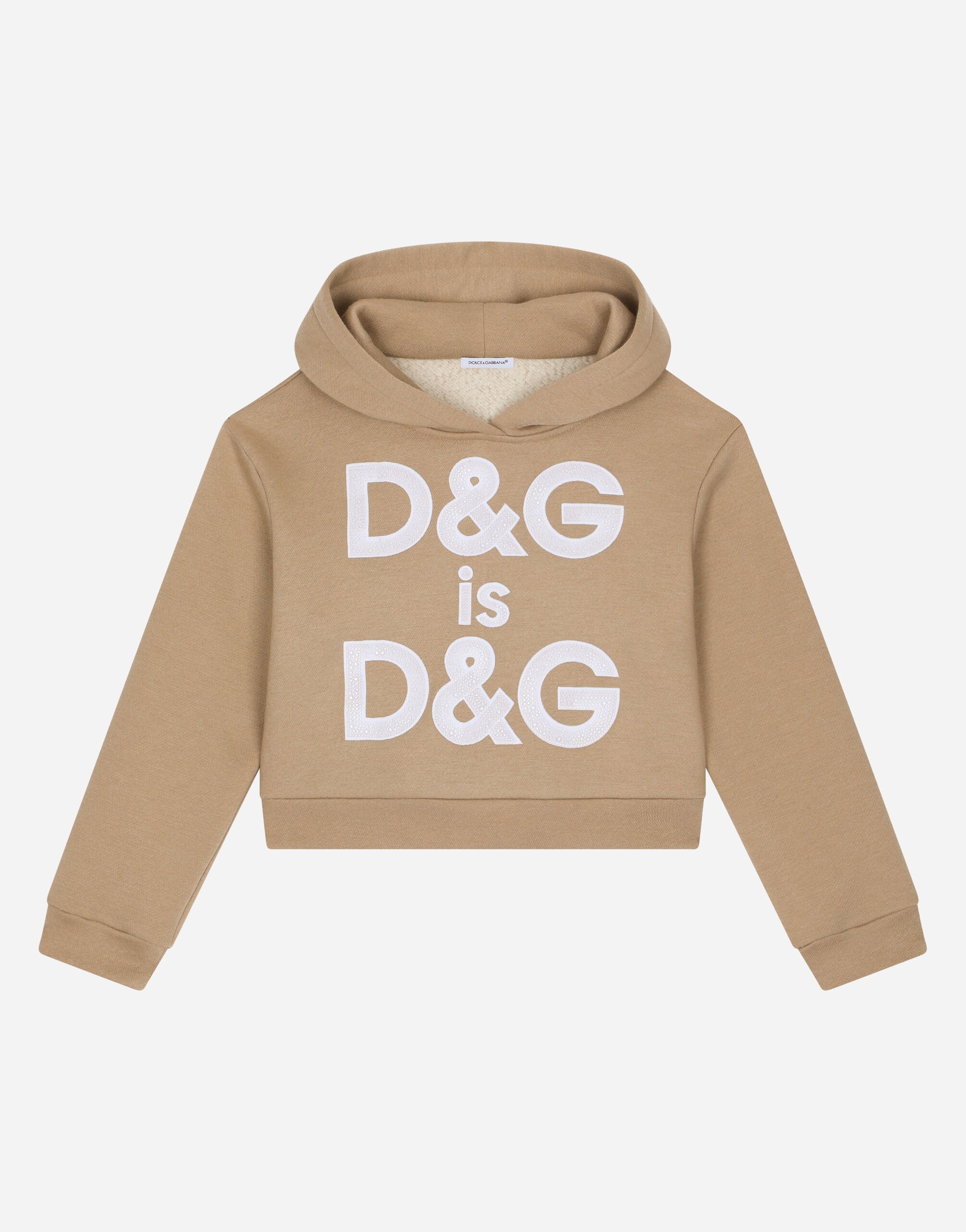 ${brand} Hoodie with logo embroidery ${colorDescription} ${masterID}