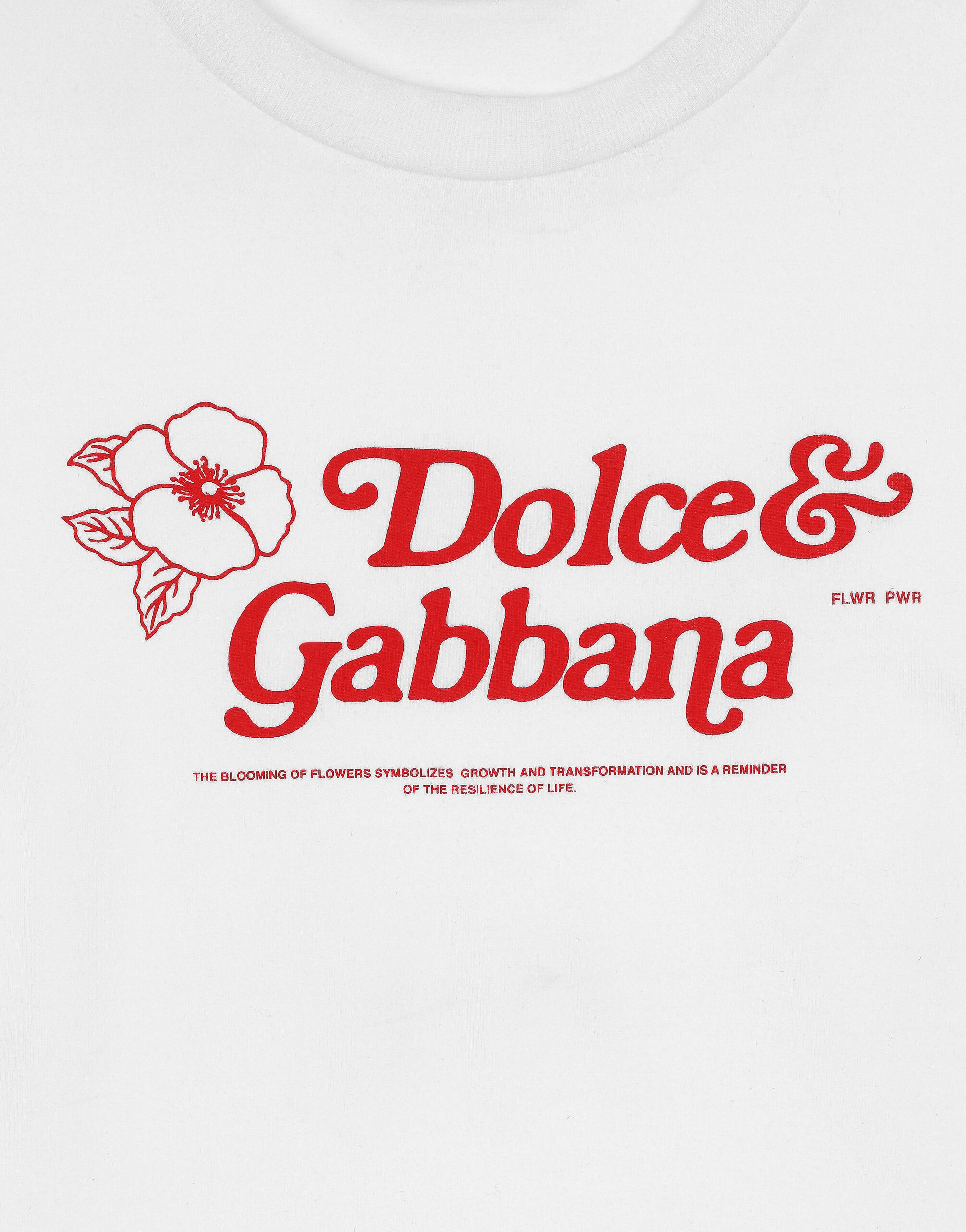 Jersey T-shirt with Dolce&Gabbana print in White for 