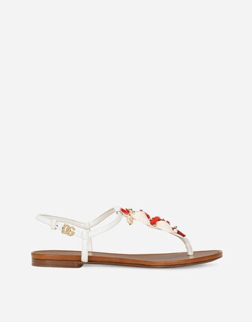 Dolce & Gabbana Nappa leather thong sandals with coral embroidery White CQ0604AW116