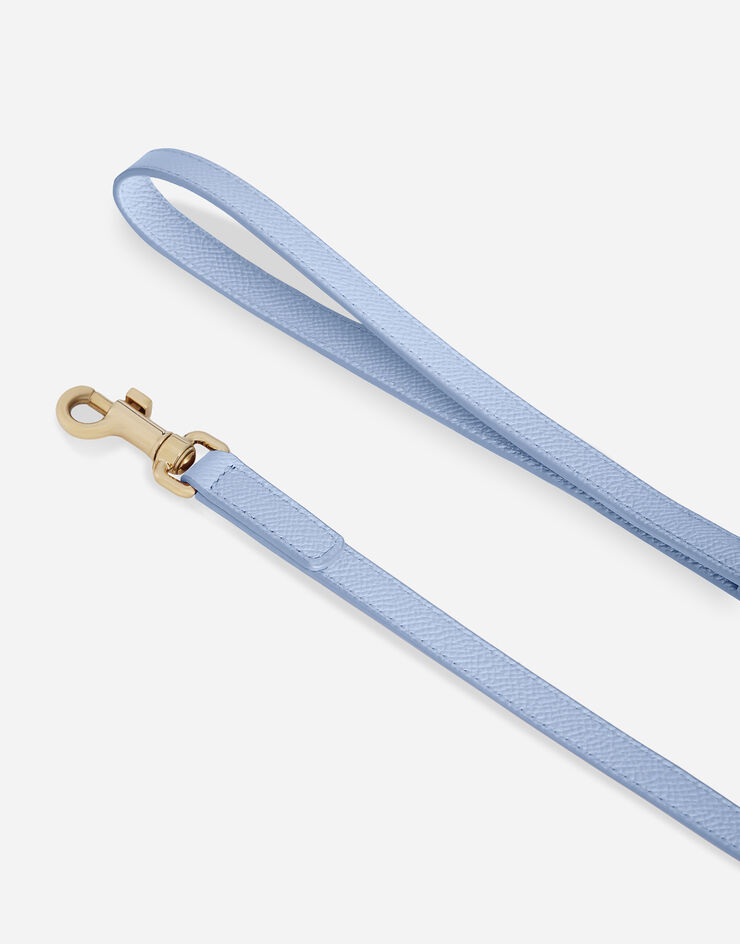 Dolce & Gabbana Dog leash Azure BD0015A6452