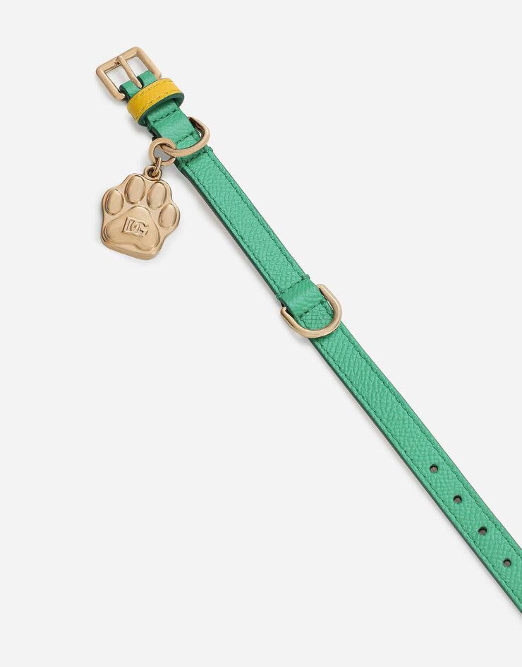 Dolce & Gabbana Collier pour chien Vert BD0009A6453