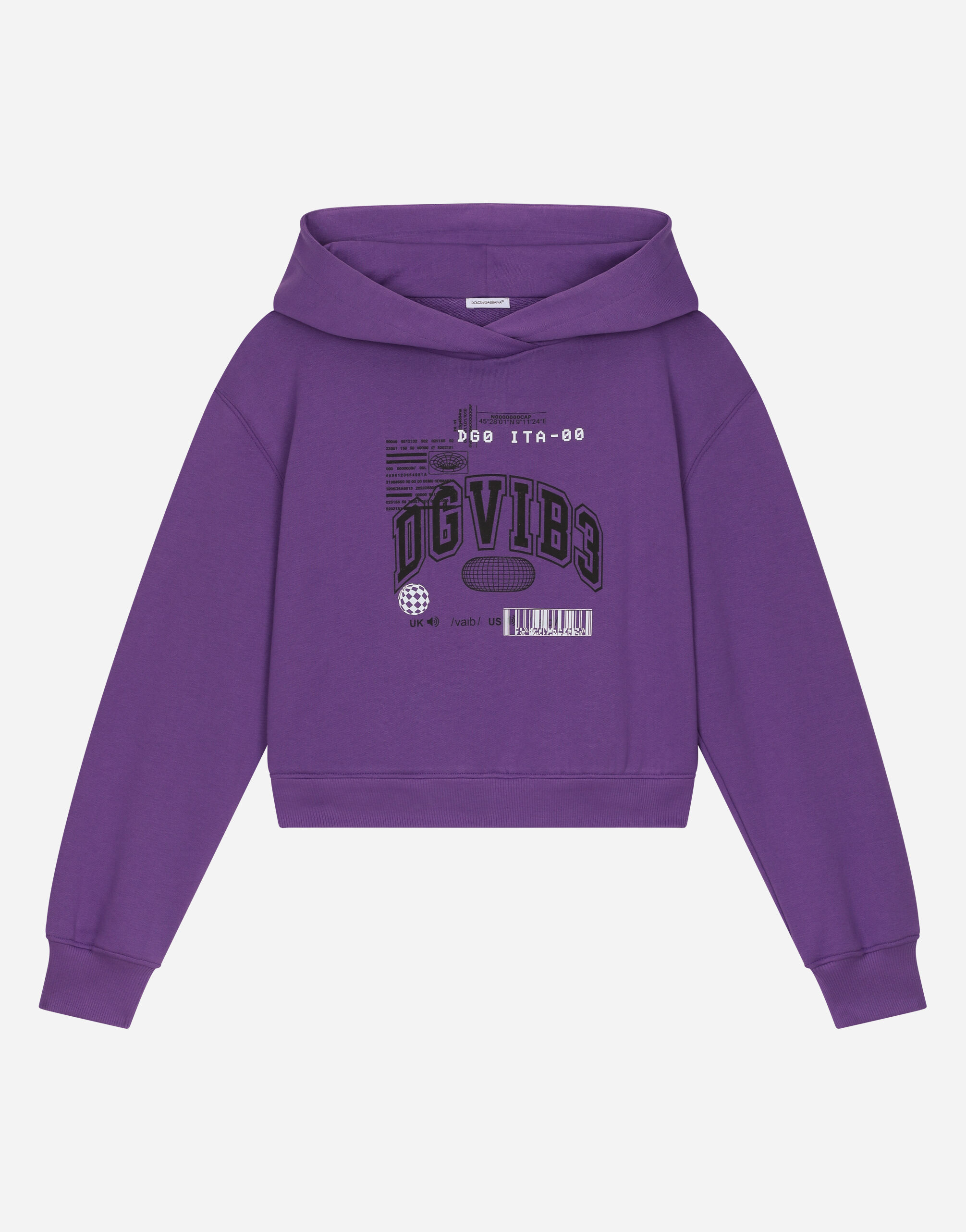 ${brand} Jersey hoodie with DGVIB3 logo ${colorDescription} ${masterID}