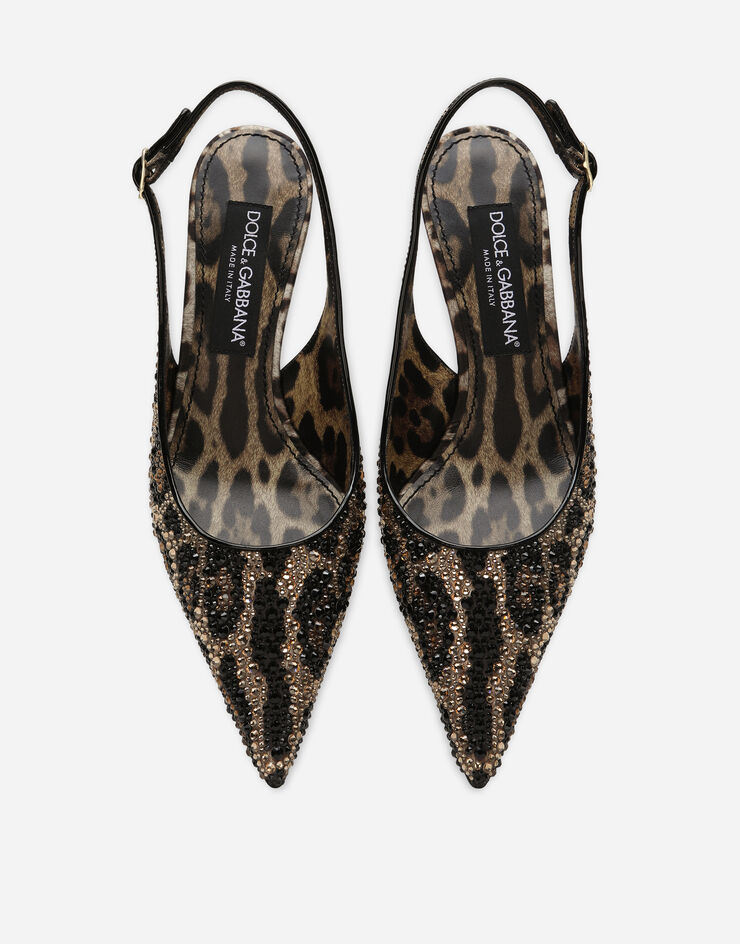 Dolce&Gabbana  Animal-Print static word Collection  - DG Casa