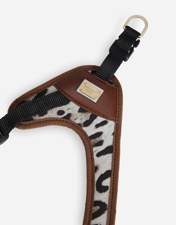 Dolce & Gabbana Dog harness Print BD0013A6459