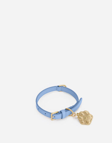 Dolce & Gabbana Collier pour chien Bleu Ciel BD0009A6452