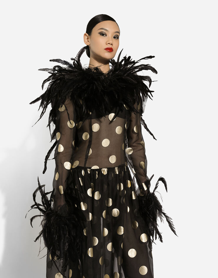 Dolce & Gabbana Long polka-dot silk organza dress with feathered details Print F6JRMTHS100