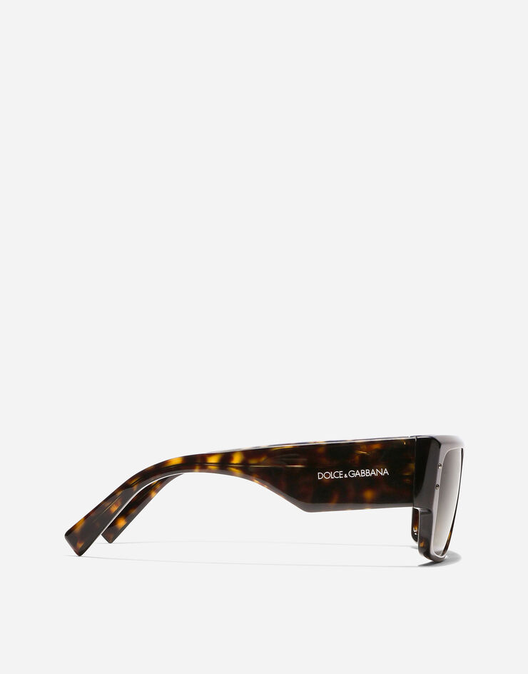 Dolce & Gabbana DNA Sunglasses Havana VG4459VP273