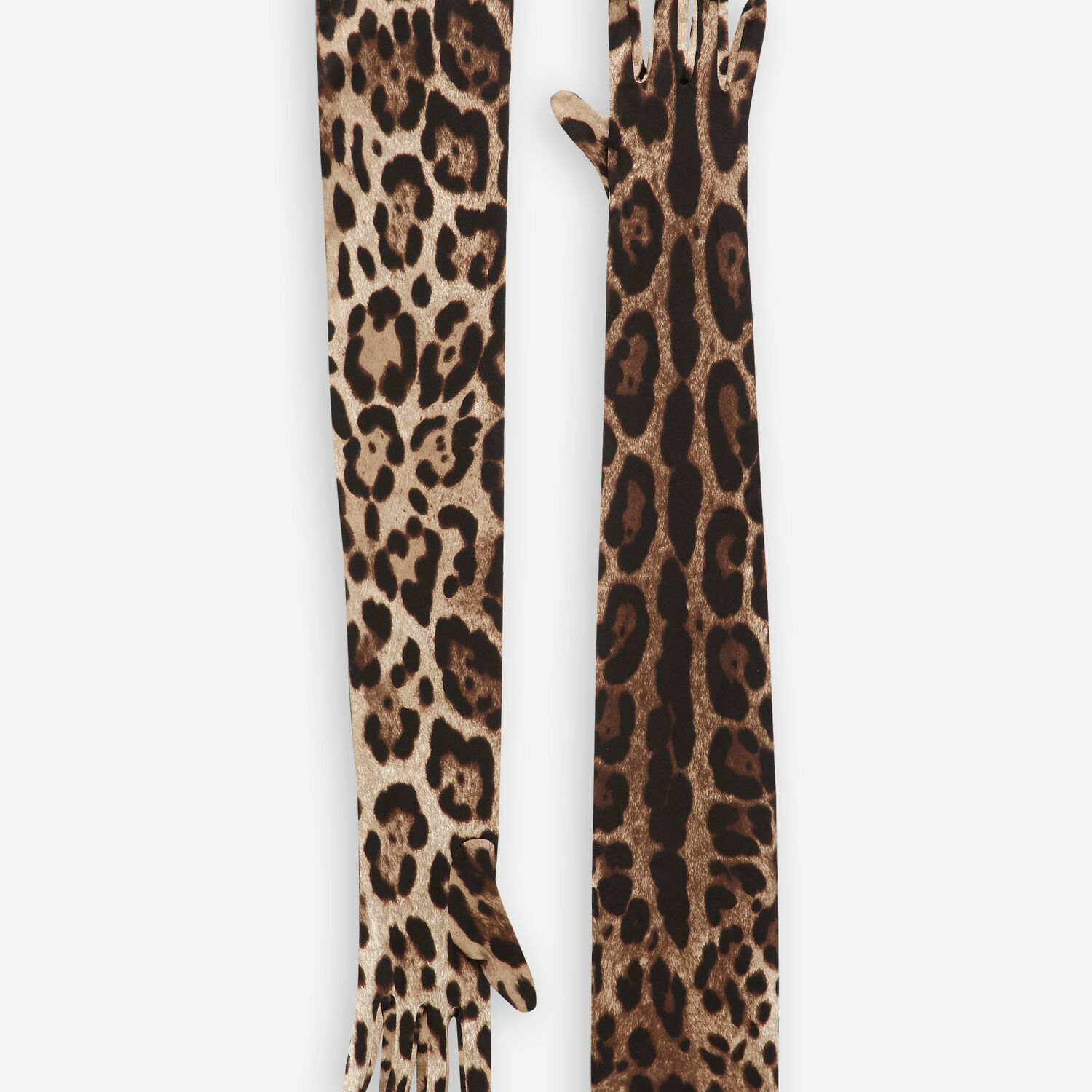 KIM DOLCE&GABBANA Long leopard-print stretch satin gloves in Animal Print  for