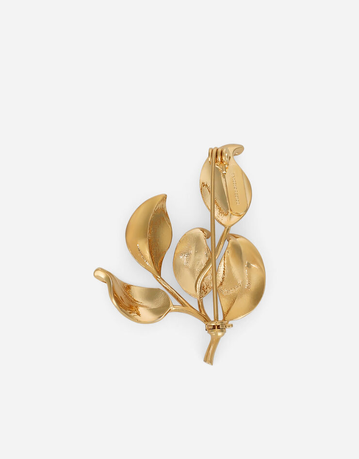 Dolce & Gabbana Brooch with branches and leaves Gold WPQ7S1W1111