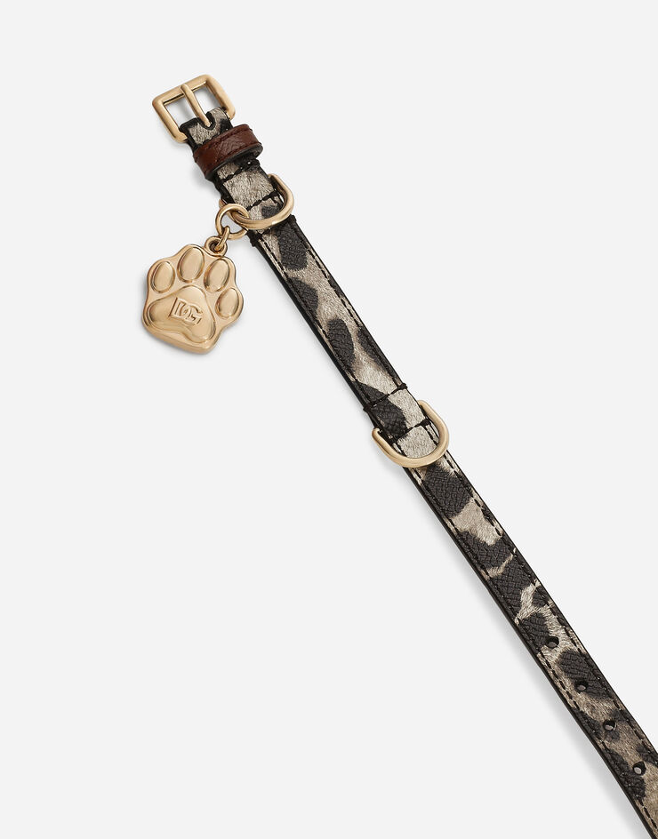 Dolce & Gabbana Collier pour chien Imprimé BD0009A6456