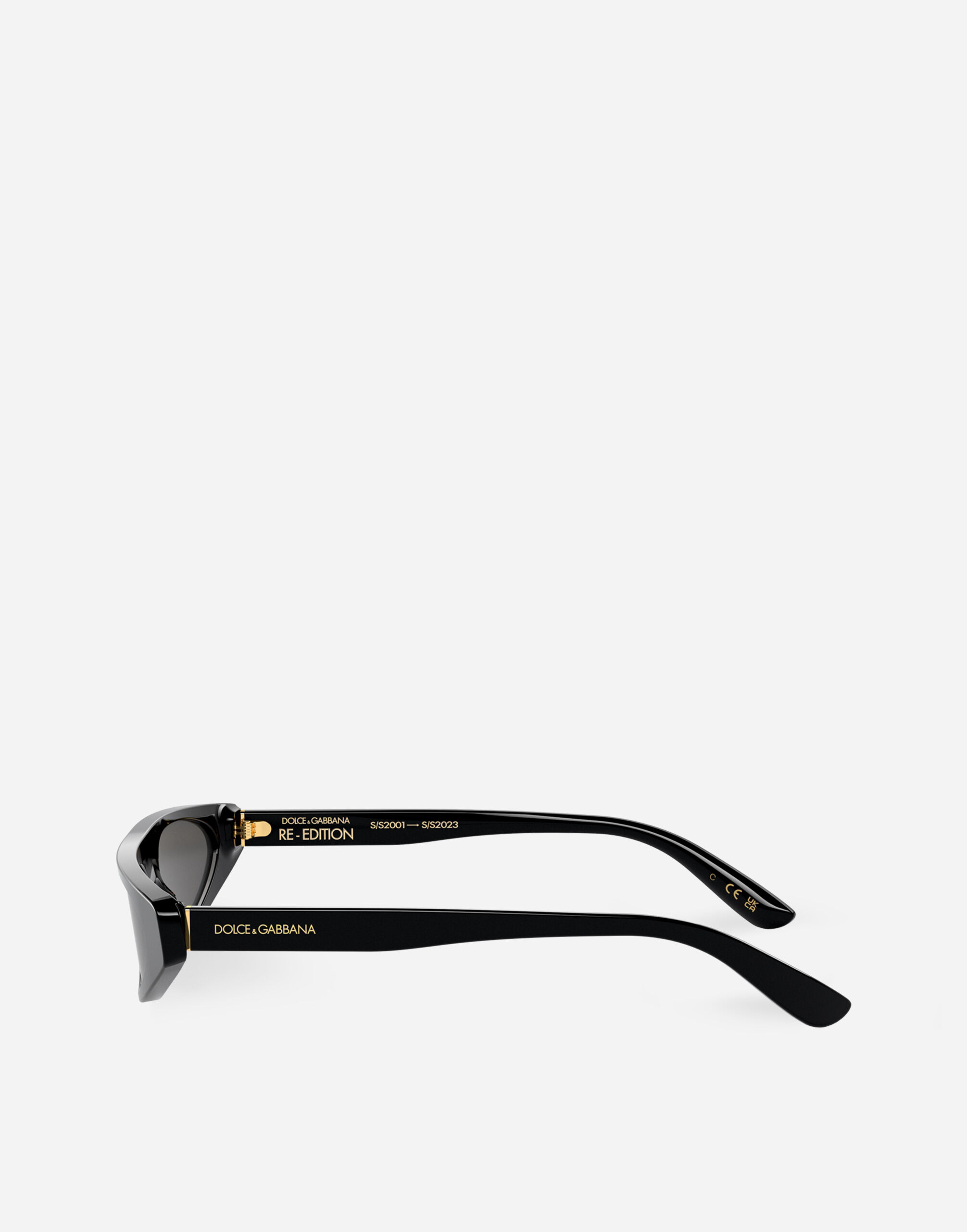 Re-Edition Dna Sunglasses in Black for Women | Dolce&Gabbana®