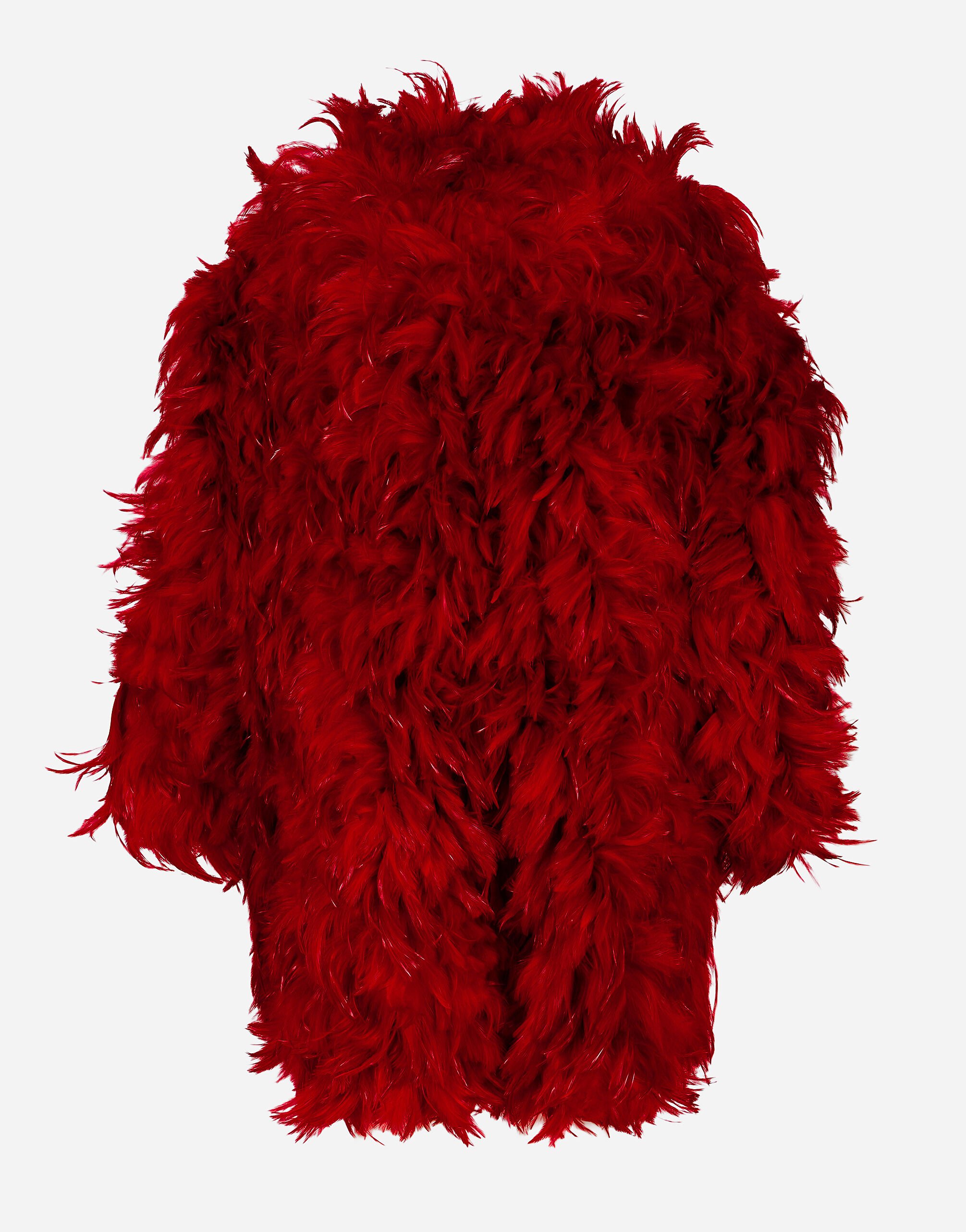 Organza coat with rooster feather embellishment in Multicolor for 