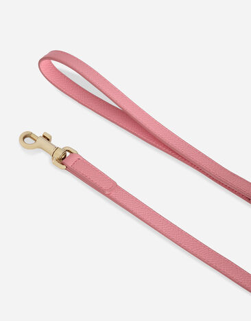 Dolce & Gabbana Dog leash Pink BD0015A6452