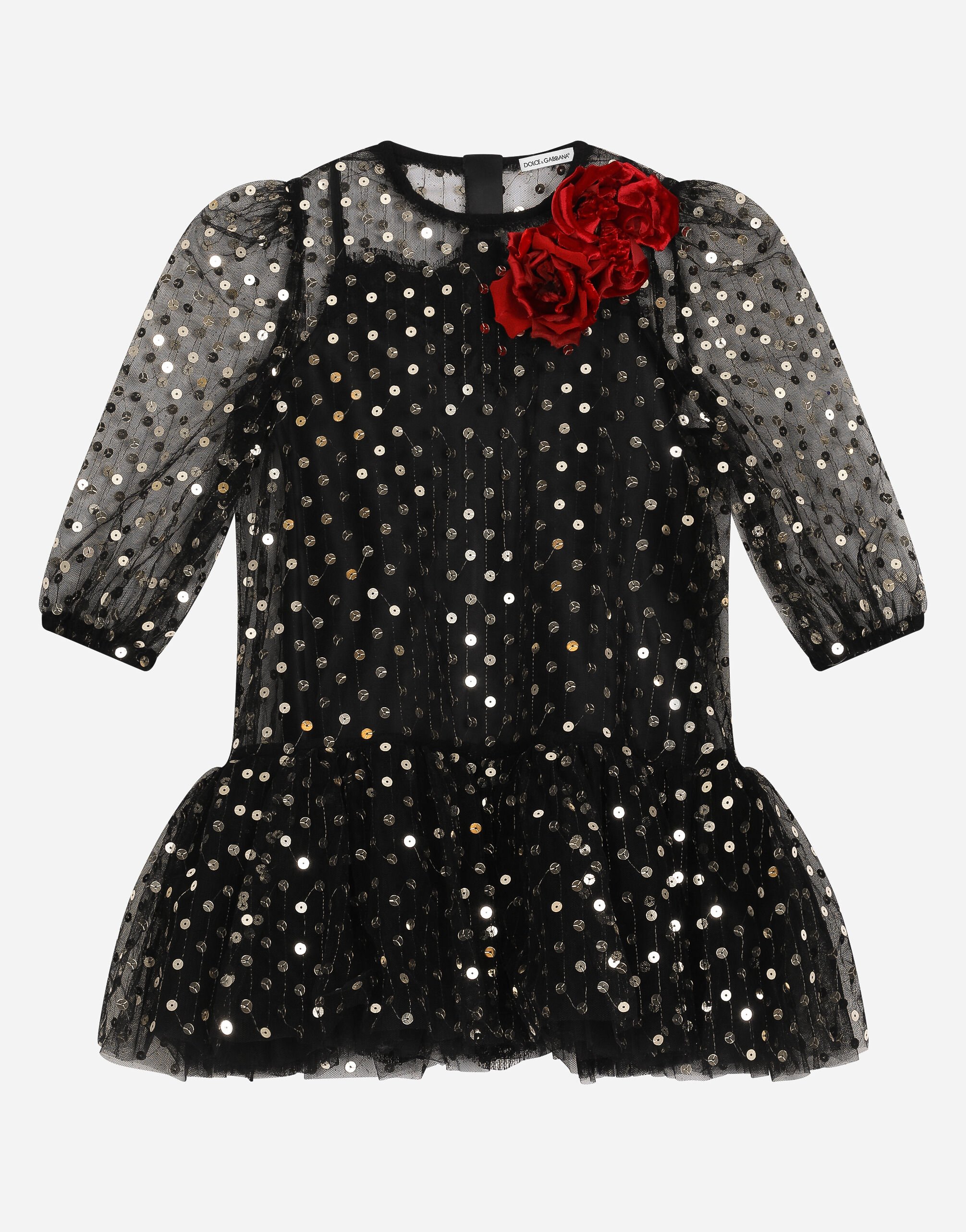 ${brand} Embroidered tulle dress with sequins ${colorDescription} ${masterID}
