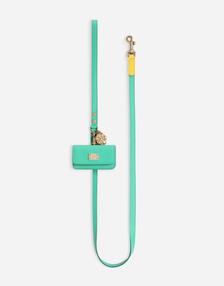 Dolce & Gabbana Dog leash Green BD0015A6453