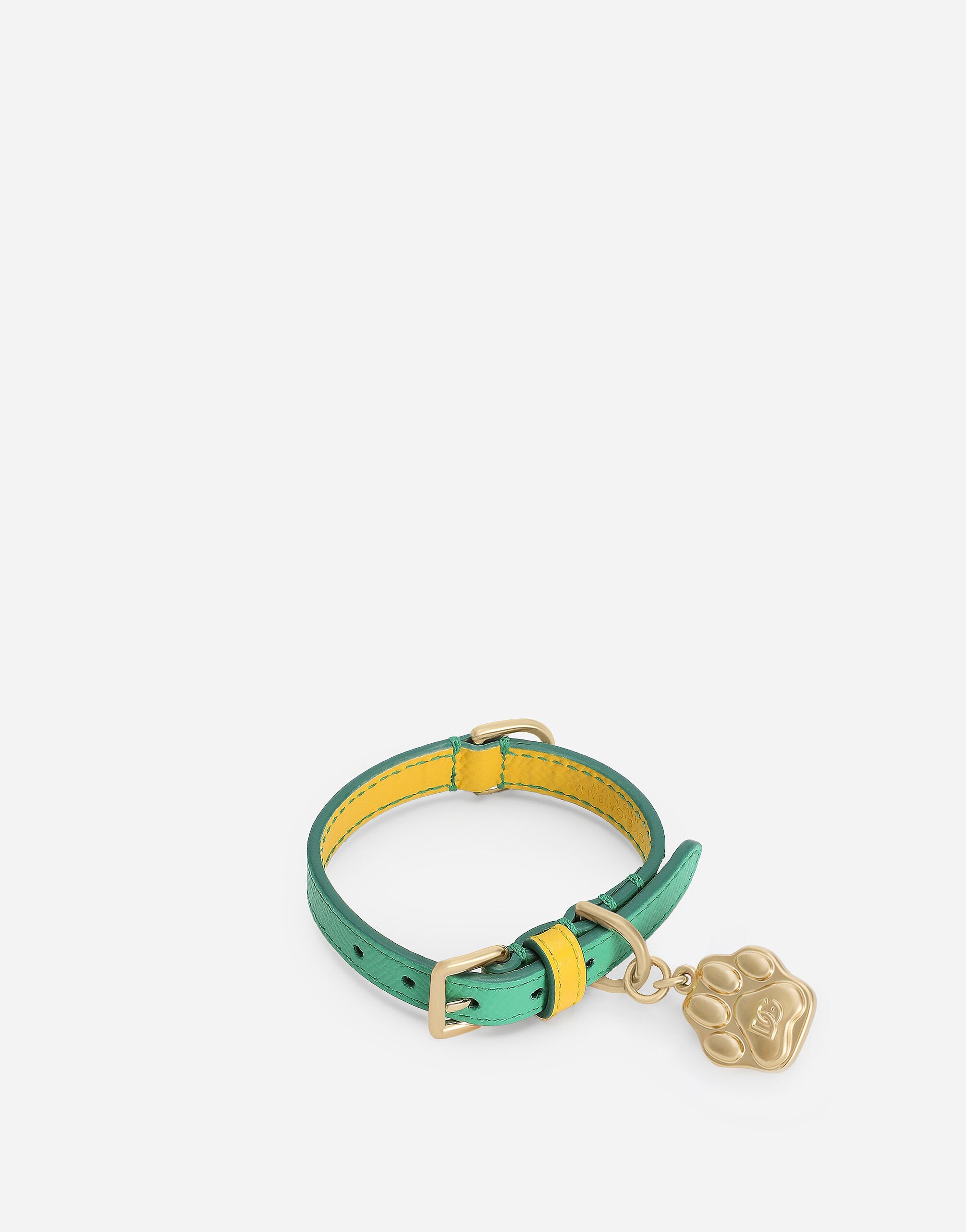 ${brand} Hundehalsband ${colorDescription} ${masterID}