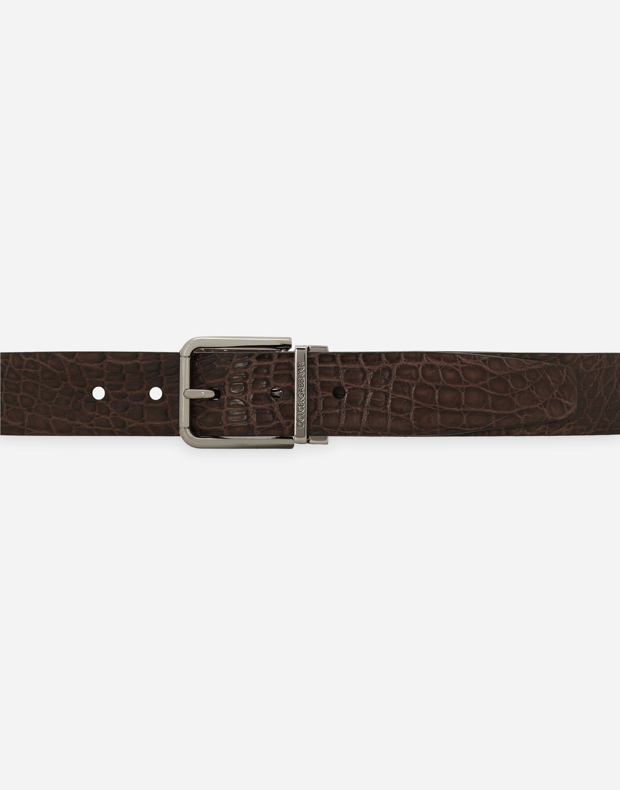 Crocodile nappa belt in Brown for | Dolce&Gabbana® US