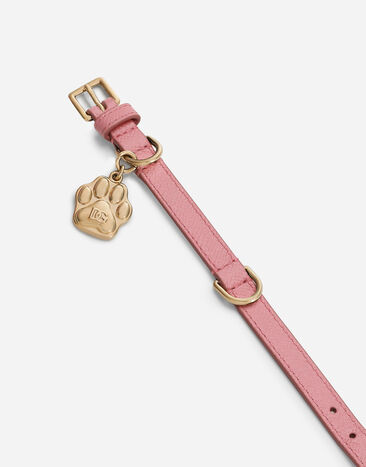 Dolce & Gabbana Collier pour chien Rose BD0009A6452