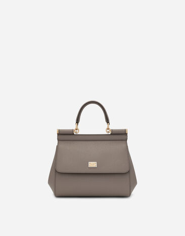 ${brand} Small dauphine leather Sicily bag ${colorDescription} ${masterID}