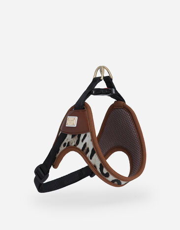 Dolce & Gabbana Dog harness Print BD0013A6459