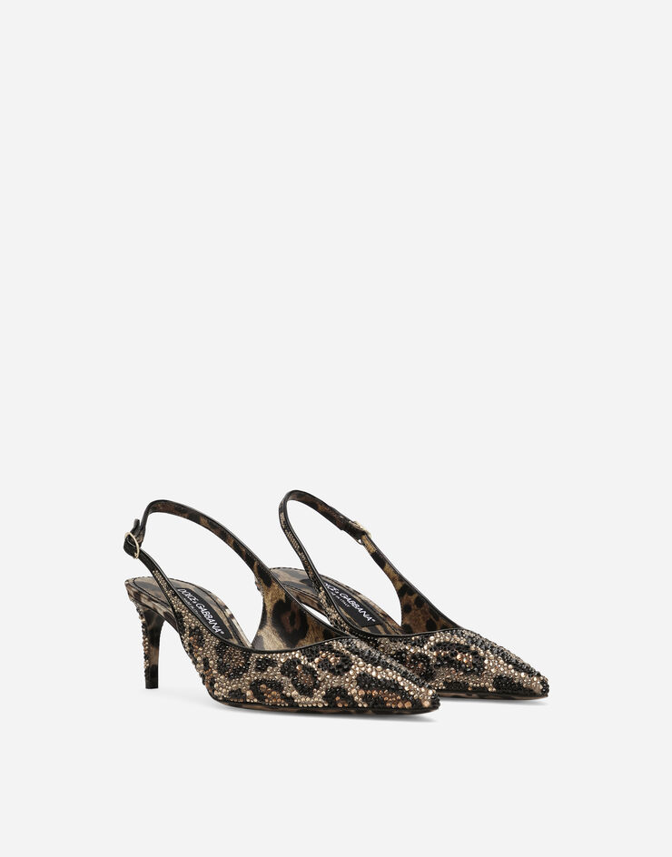 Dolce&Gabbana  Stampa Animalier static word Collection  - DG Casa