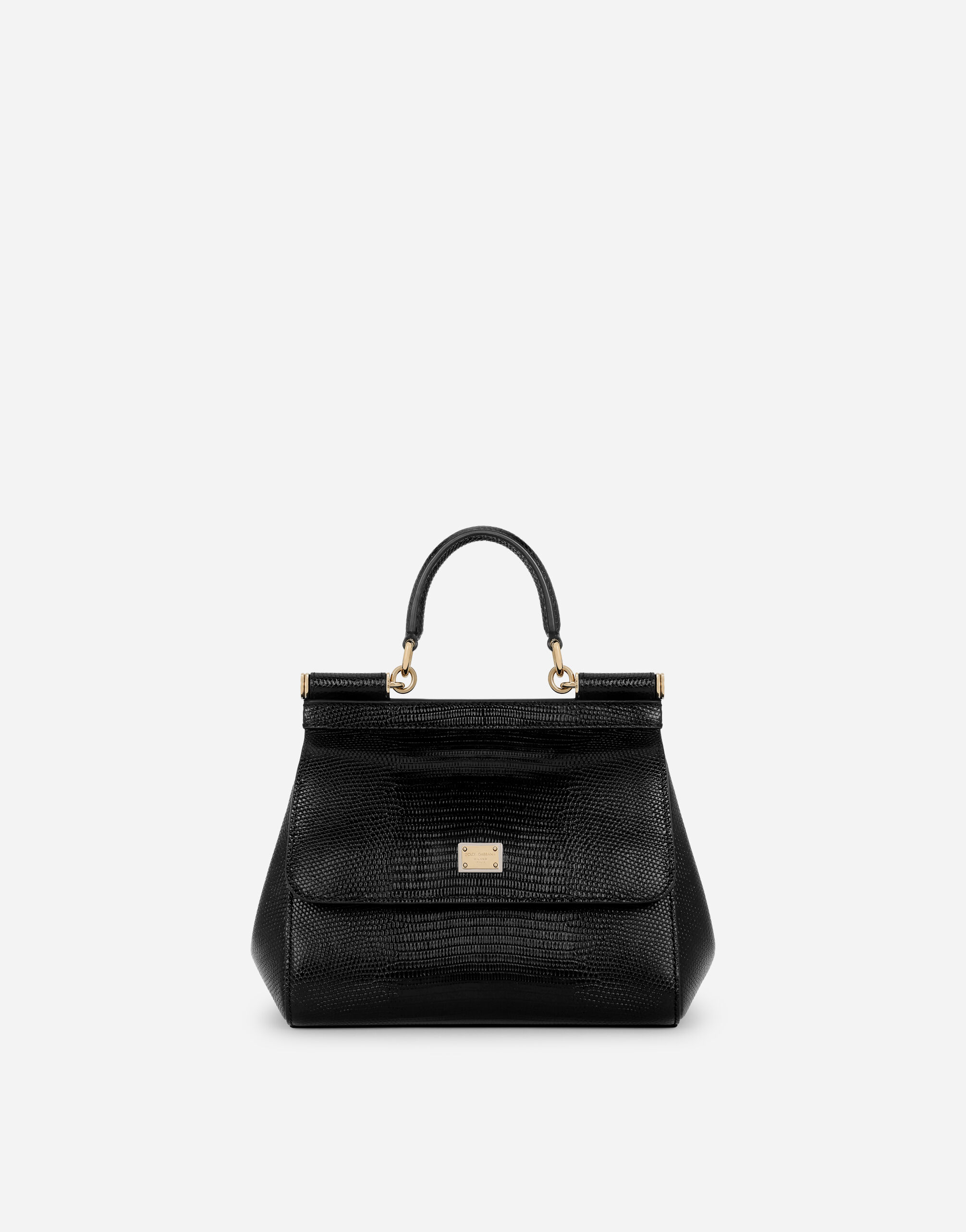 Dolce and sale gabbana bag