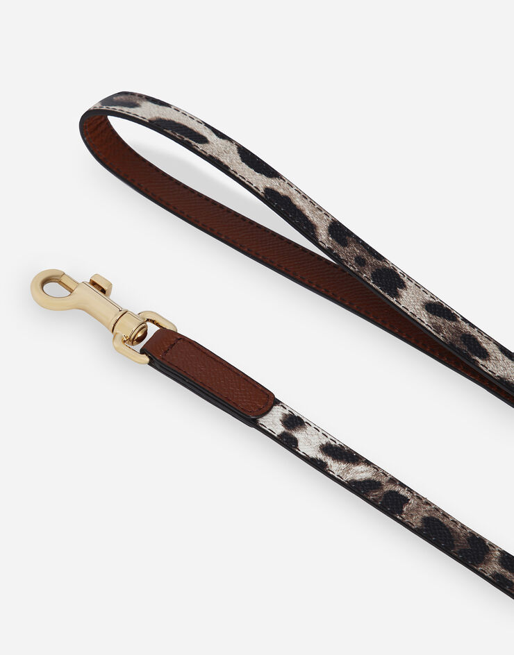 Dolce & Gabbana Dog leash Print BD0015A6456