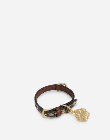 Dolce & Gabbana Hundehalsband Drucken BD0009A6456