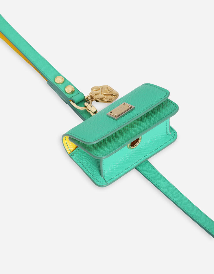 Dolce & Gabbana Dog leash Green BD0015A6453