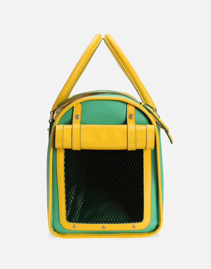 Dolce & Gabbana Dog carrier Green BD0012A6453