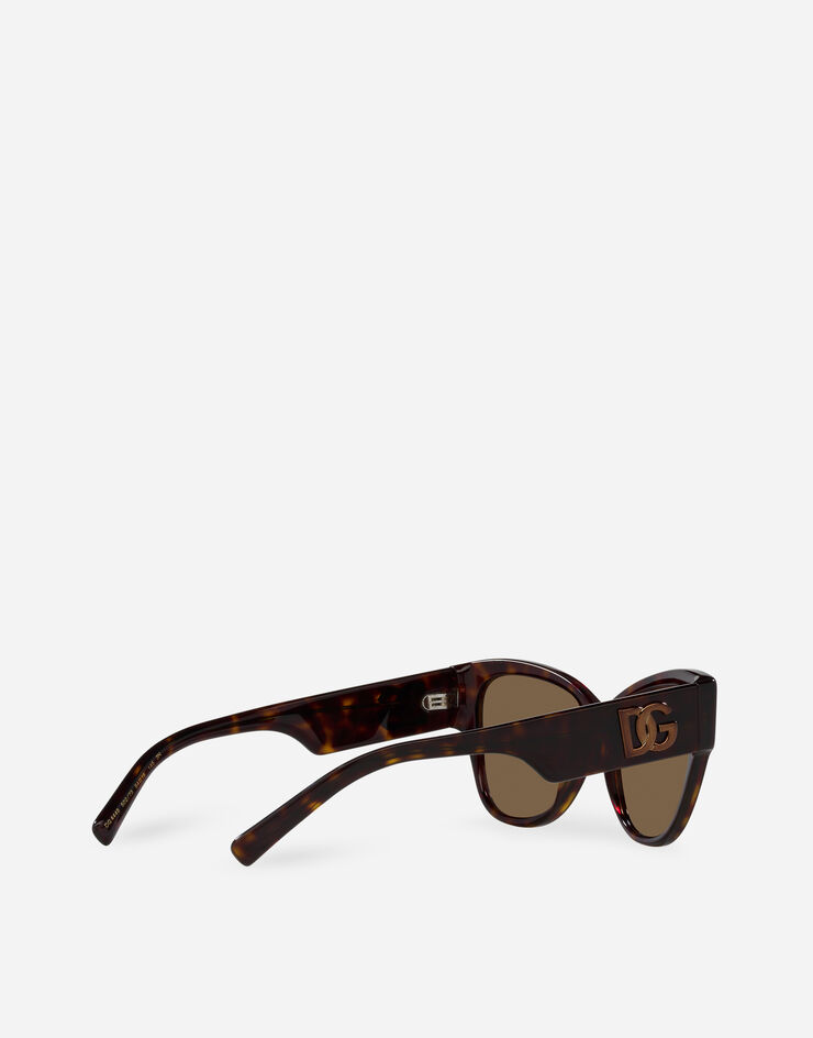 DG Logo sunglasses in Brown for