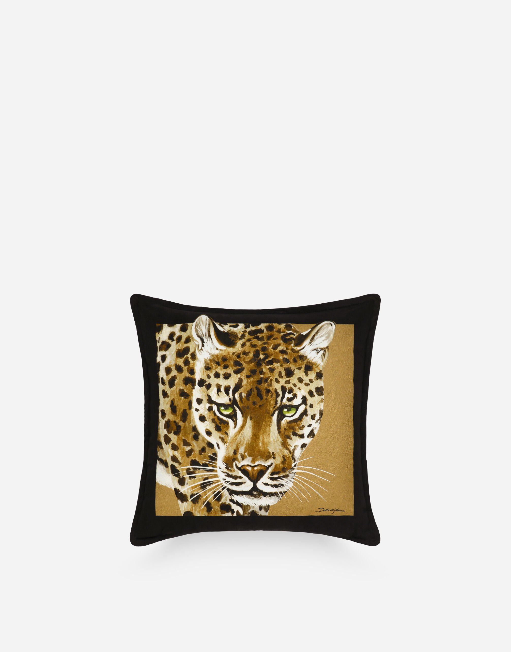 Dolce & Gabbana Canvas Cushion small Multicolor TC0S04TCA71
