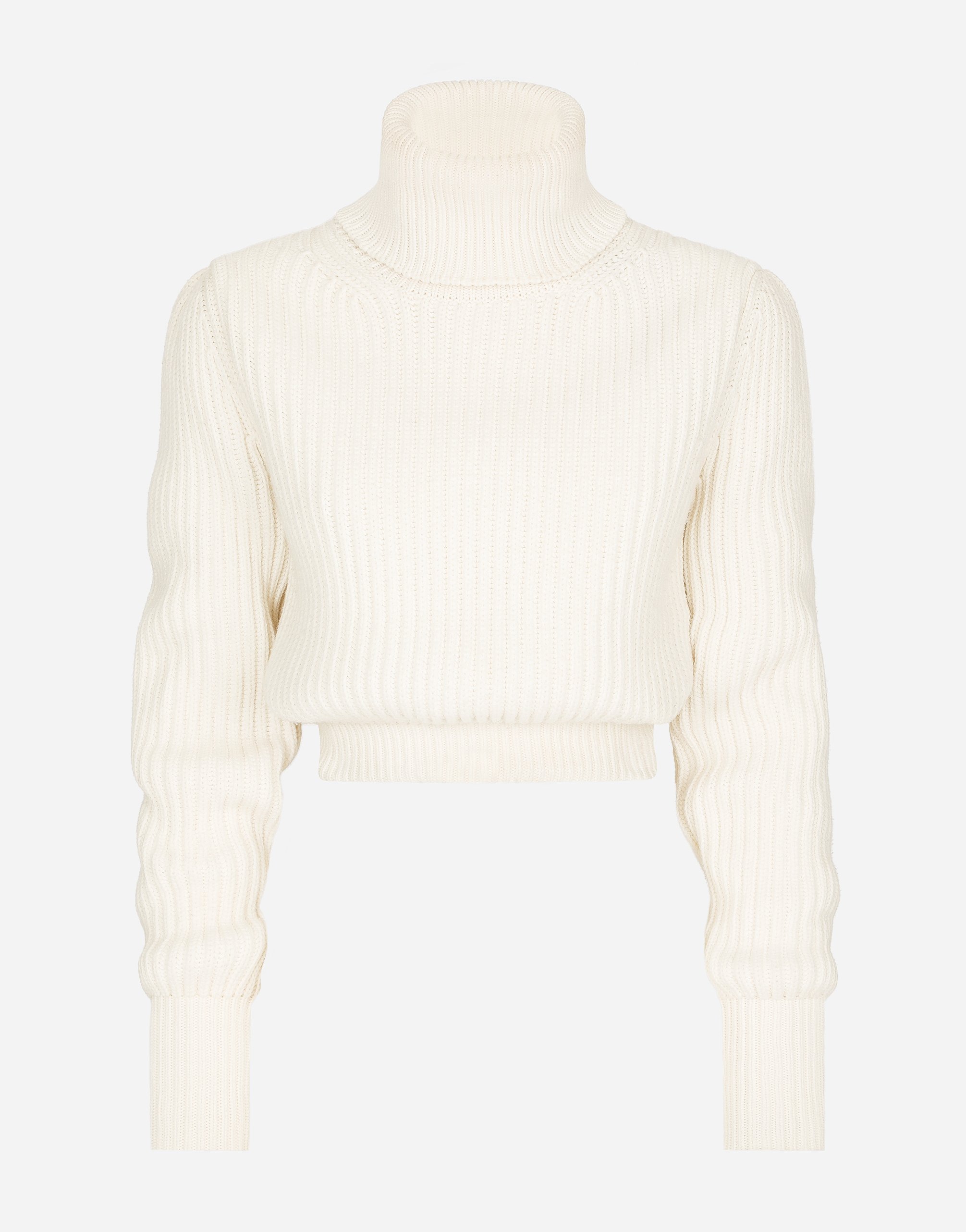 Wool fisherman's rib turtle-neck sweater with DG logo in White for