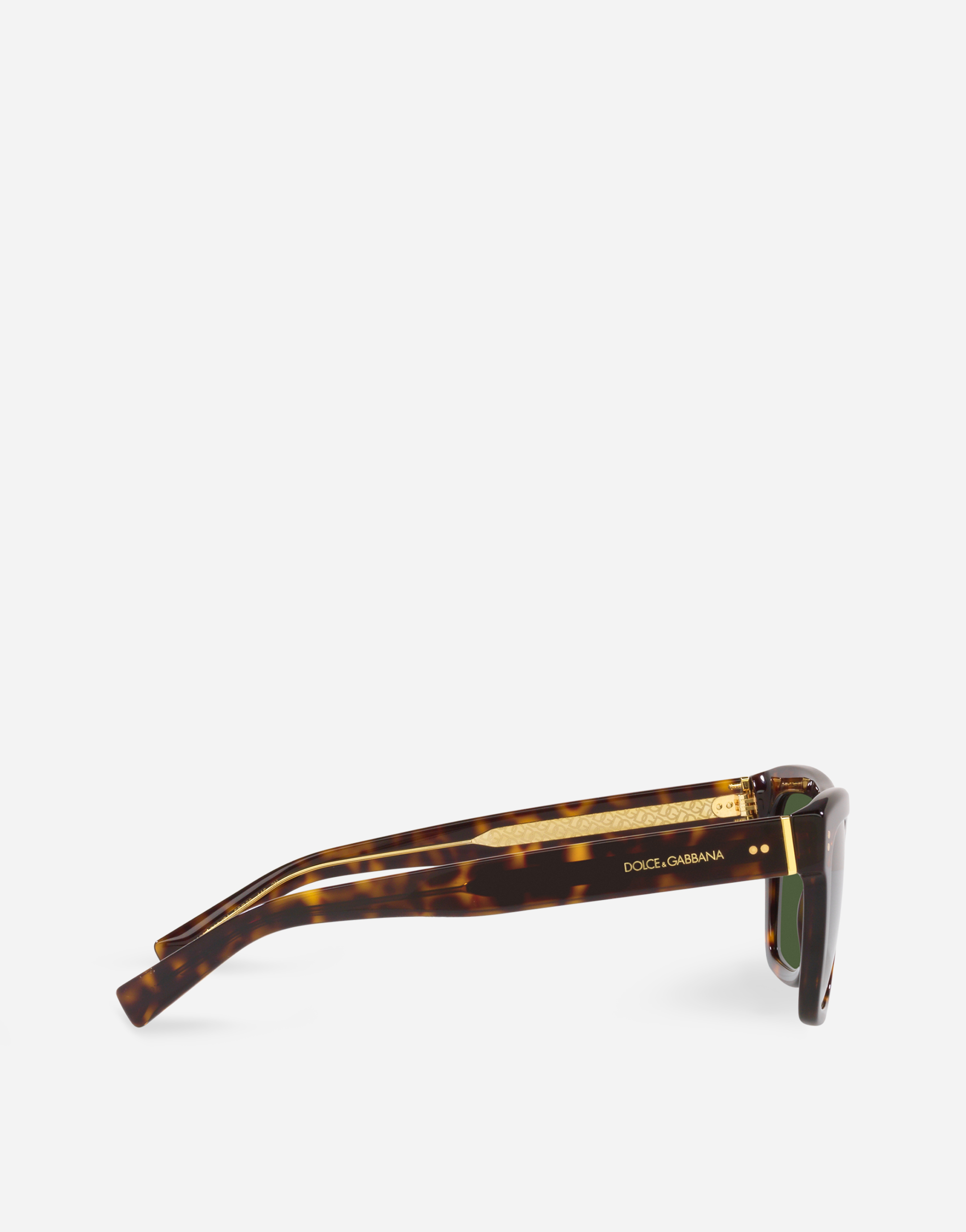 Shop Dolce & Gabbana Domenico Sunglasses In Havana