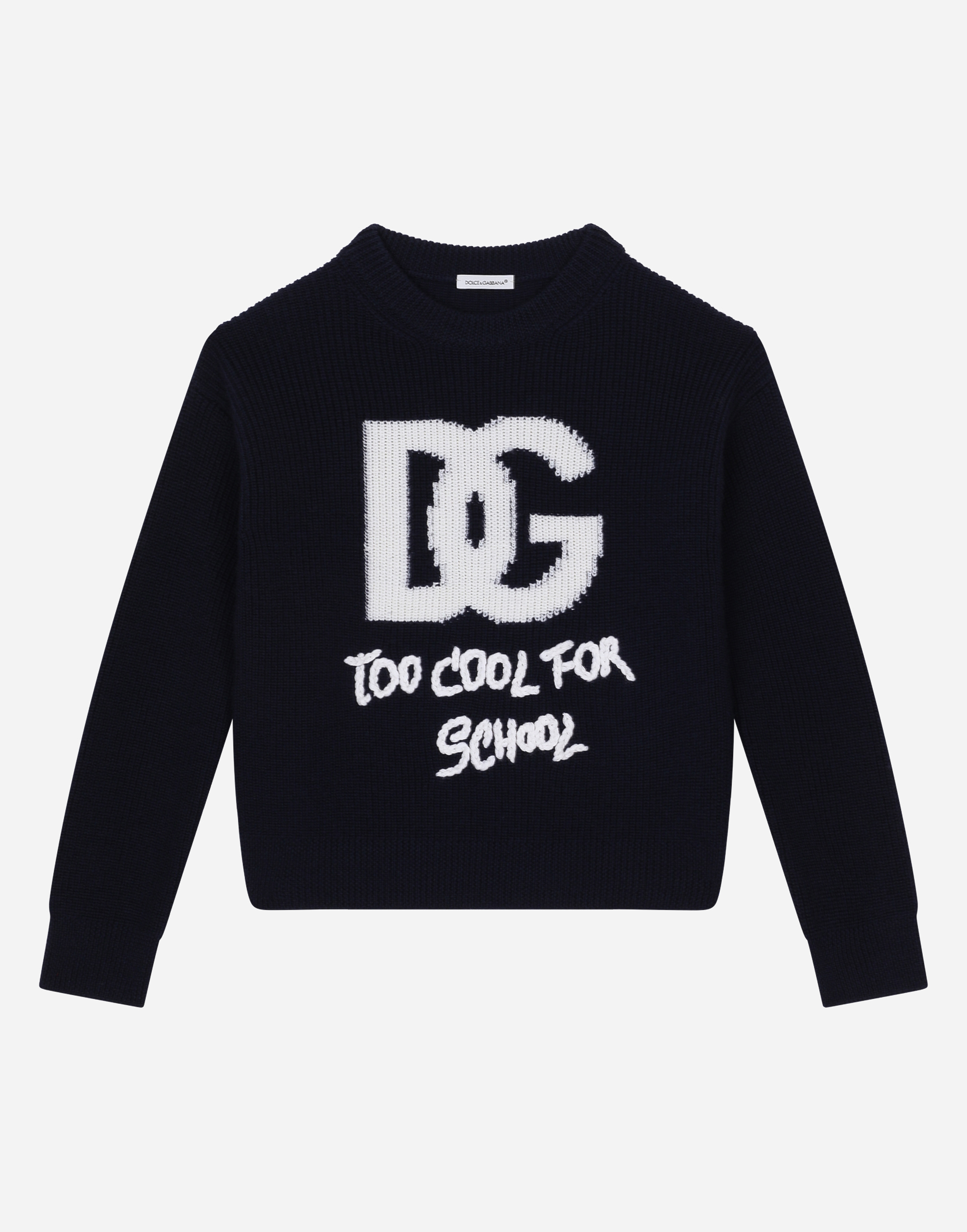 Dolce & Gabbana Round-neck Jumper With Dg Logo Inlay In Multicolor