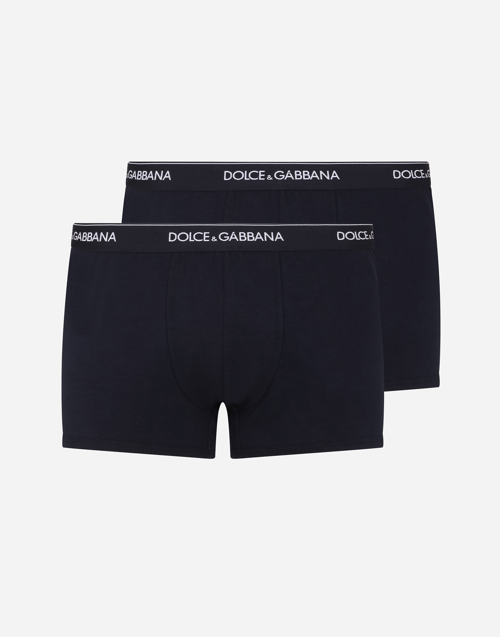 boxer d&g