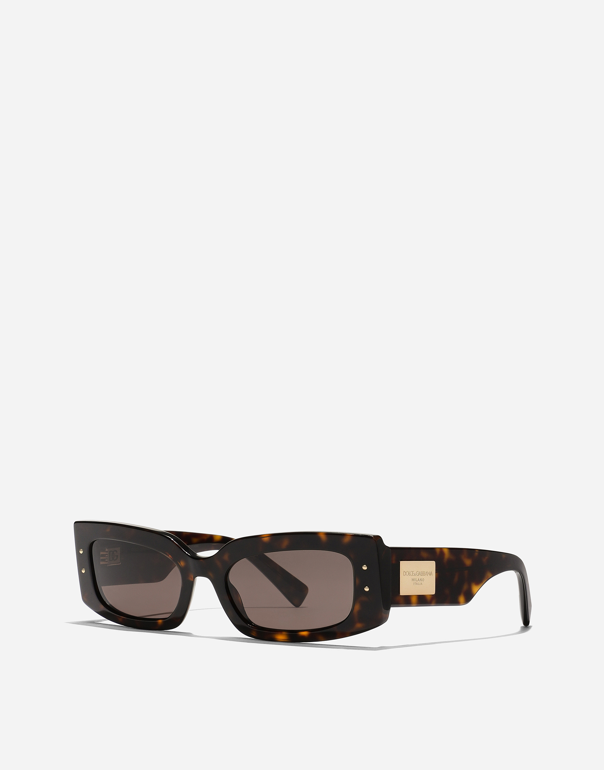 Dolce & Gabbana Dg Plaque Sunglasses In Havana