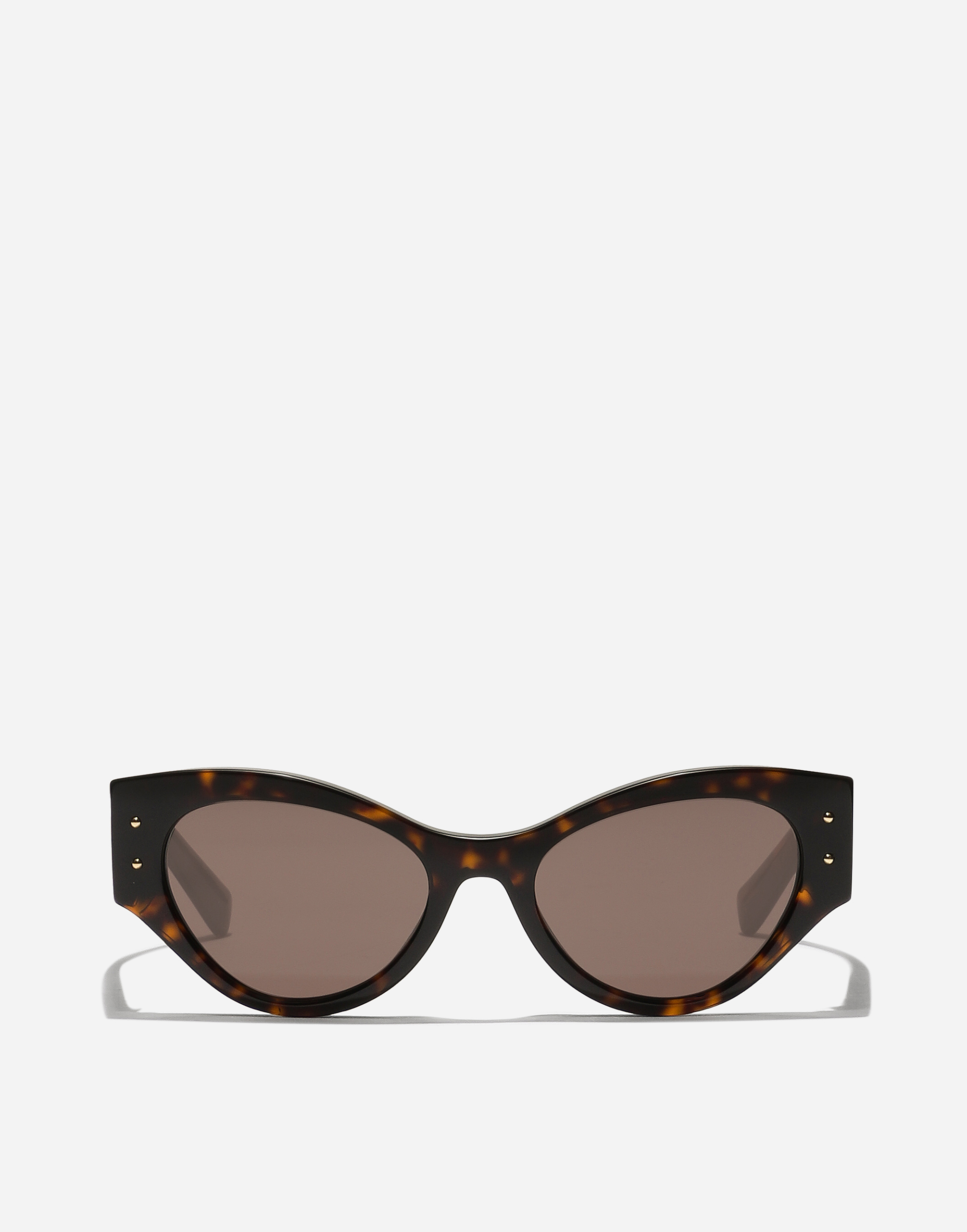 Dolce & Gabbana Dg Logo Plaque Sunglasses In Havana