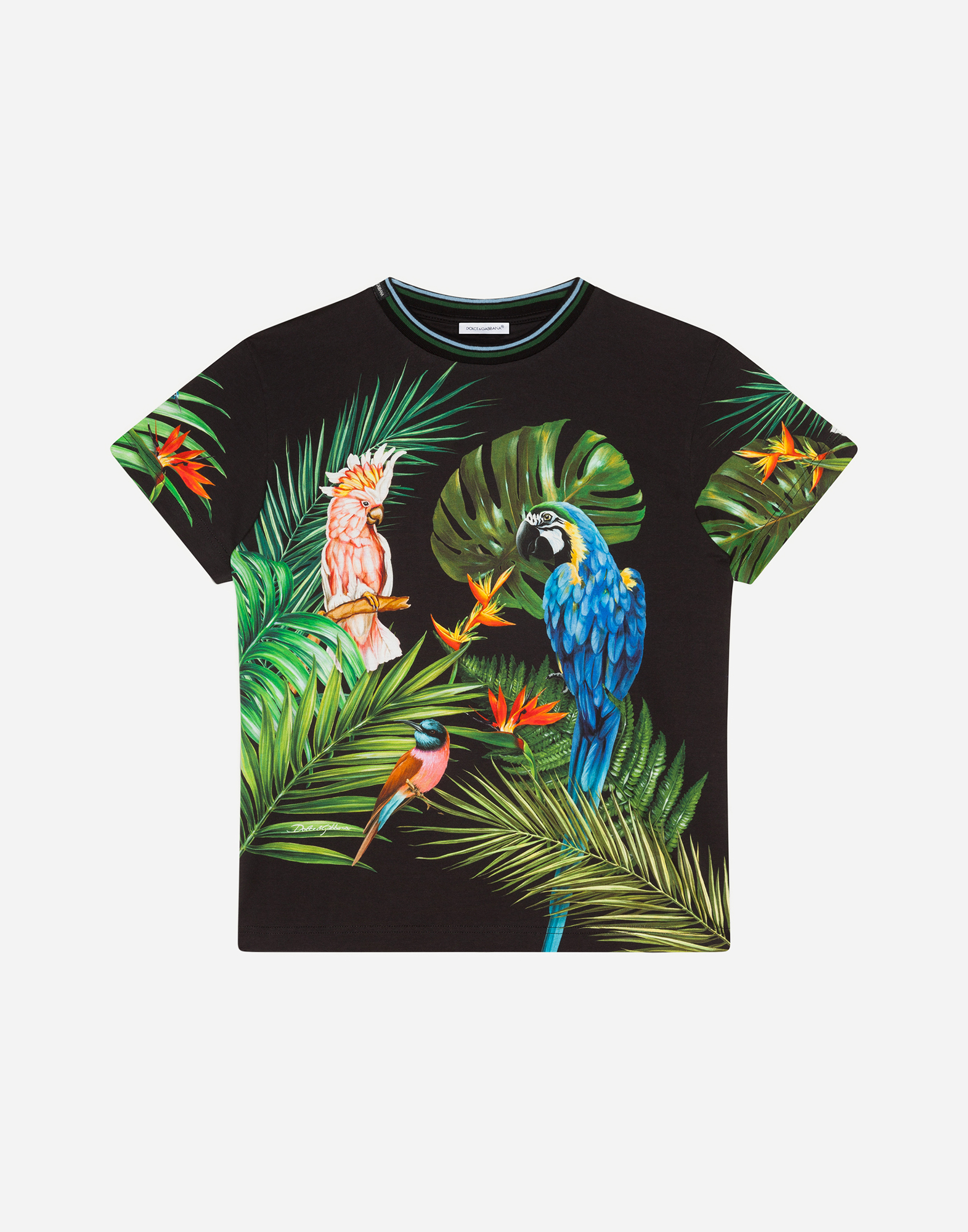 Collection - JERSEY T-SHIRT WITH PARROT PRINT