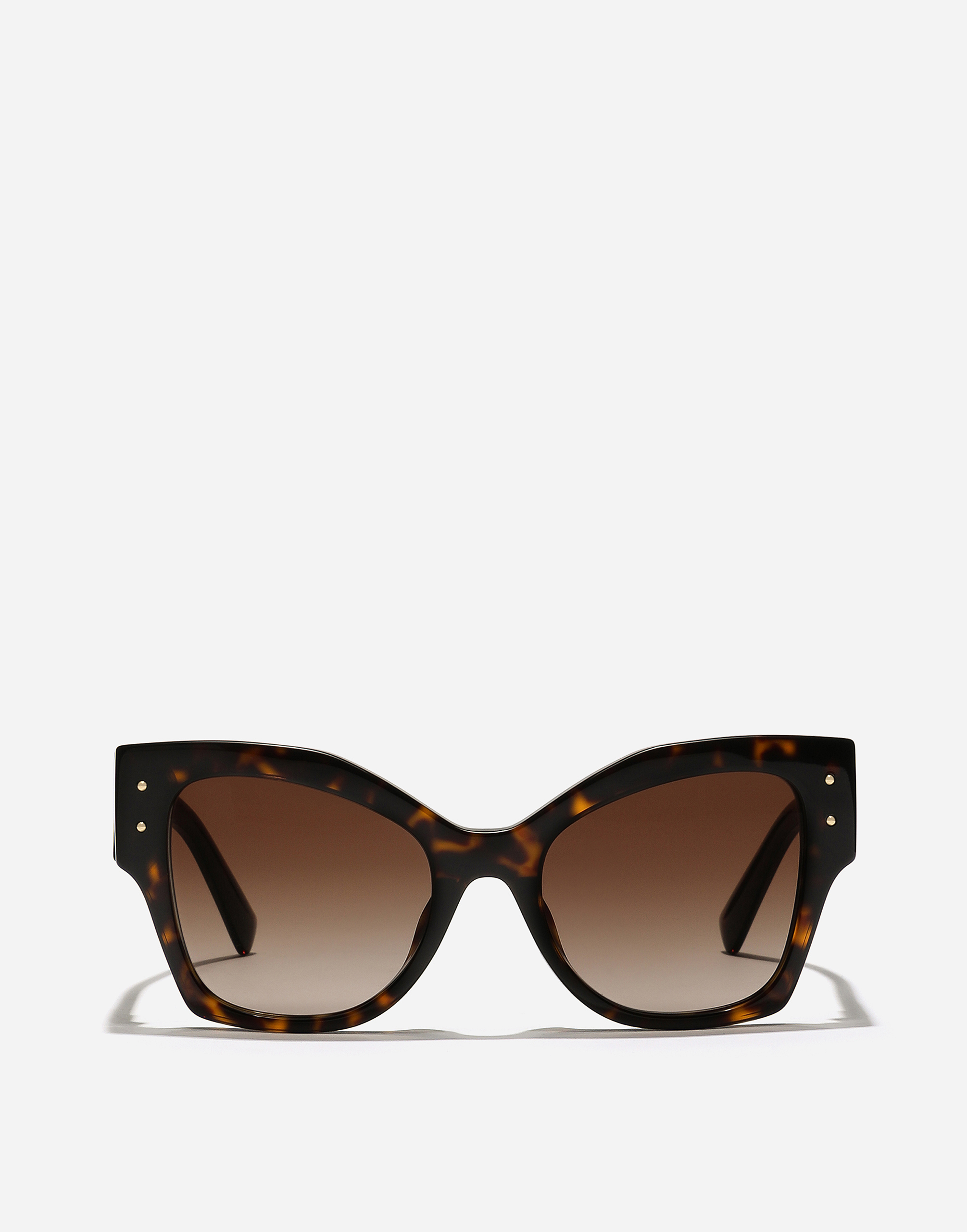 Dolce & Gabbana Dg Logo Plaque Sunglasses In Havana