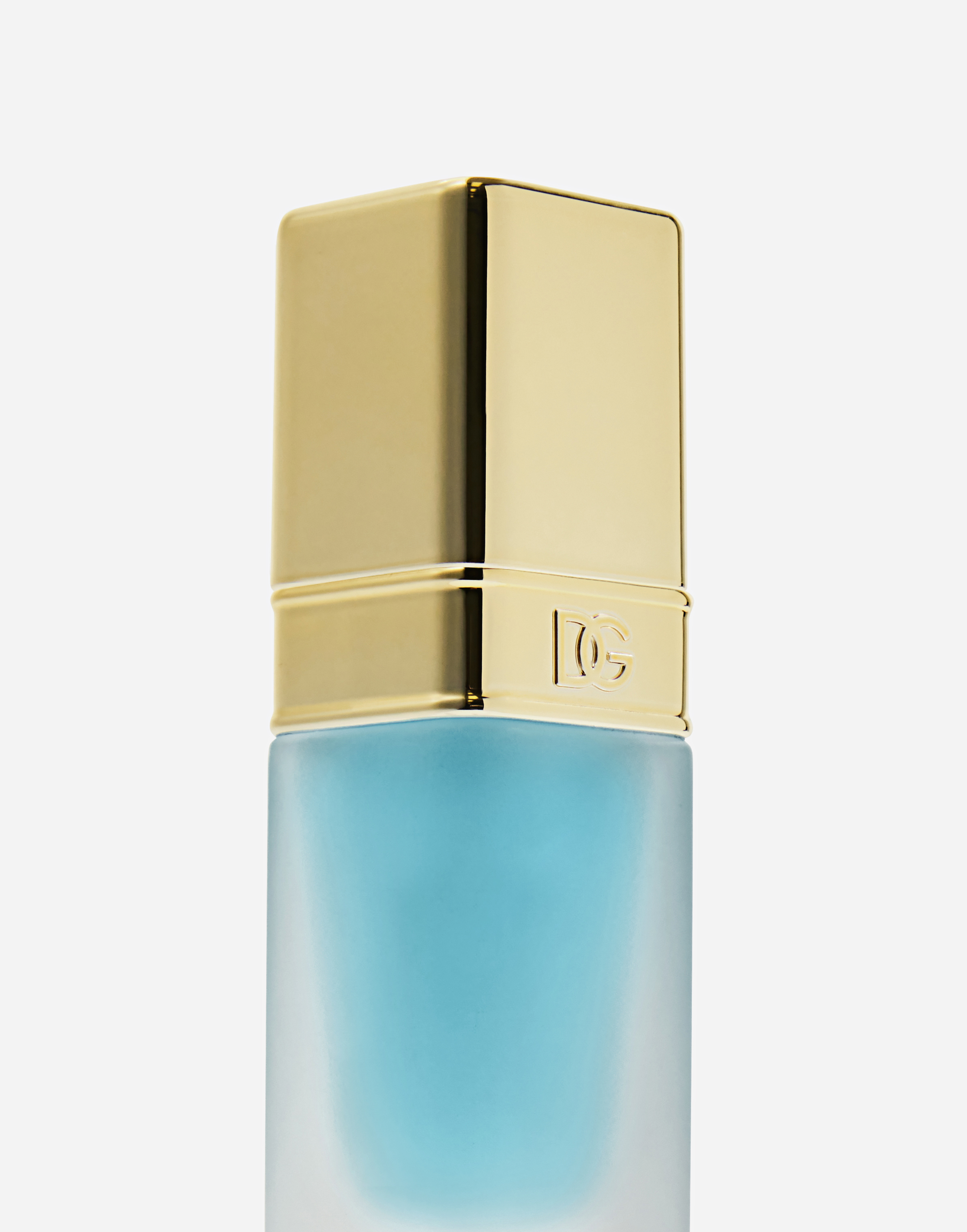 Shop Dolce & Gabbana Mint Oil Lip Plumper In -