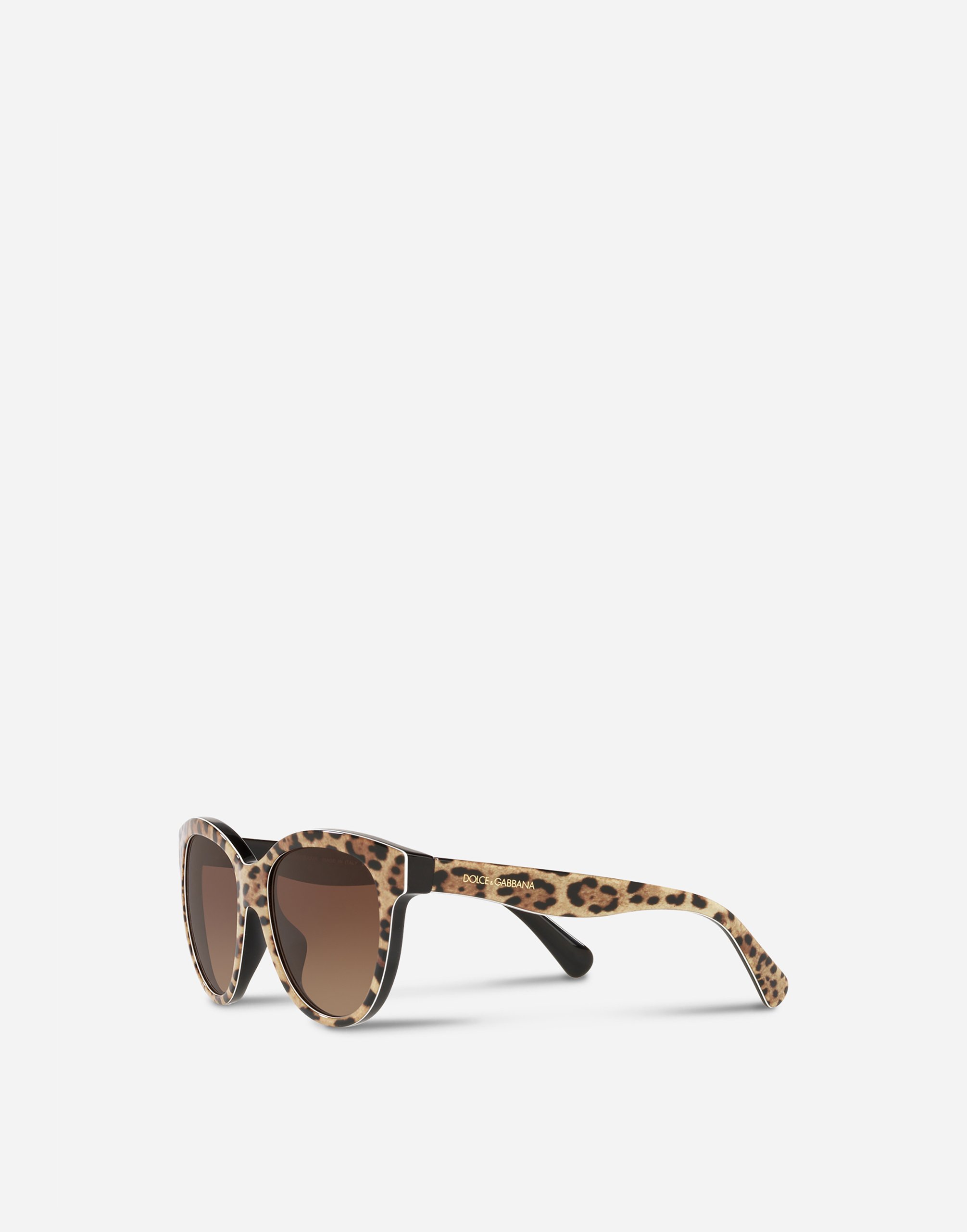 Dolce and gabbana discount print family sunglasses