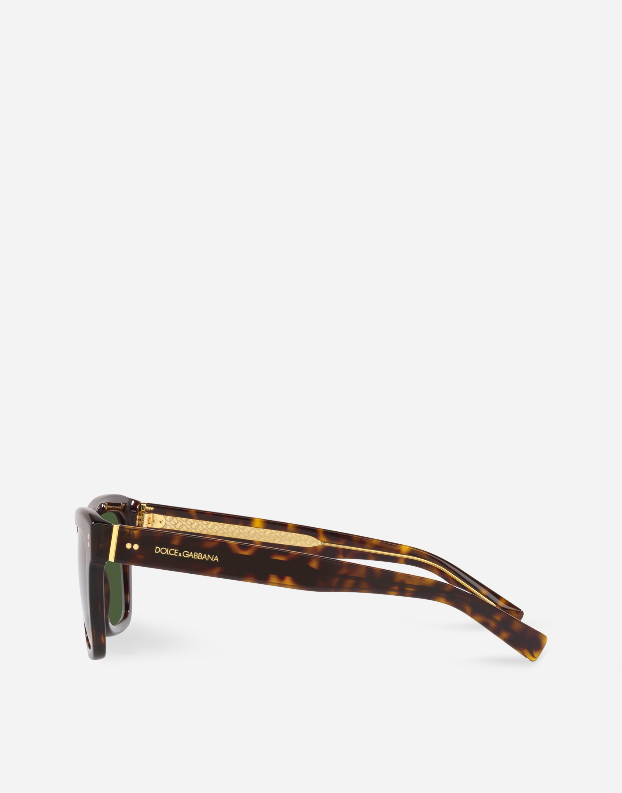 Shop Dolce & Gabbana Domenico Sunglasses In Havana