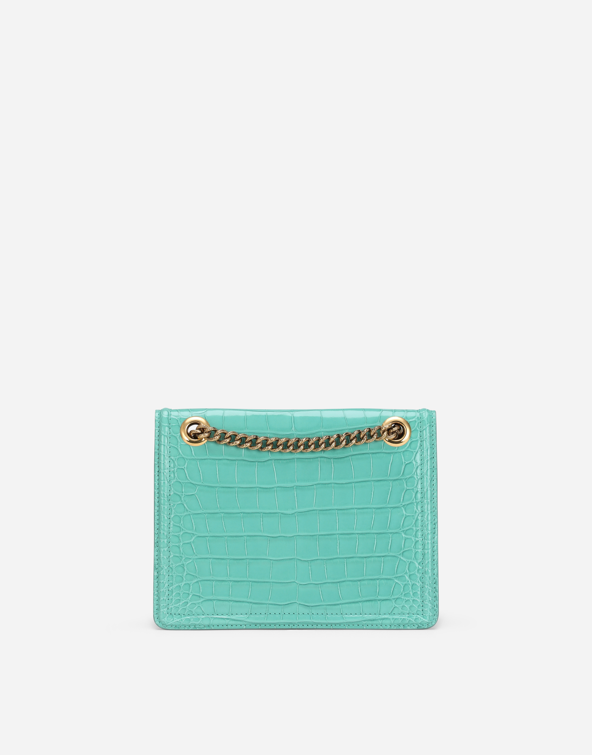 Medium crocodile skin Devotion bag in Green for Women | Dolce&Gabbana®